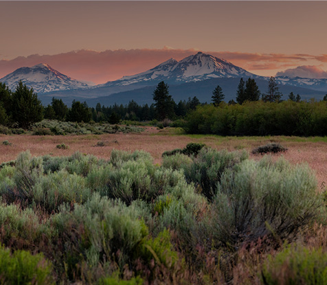 Spring Hunting Guide Main Mobile Image