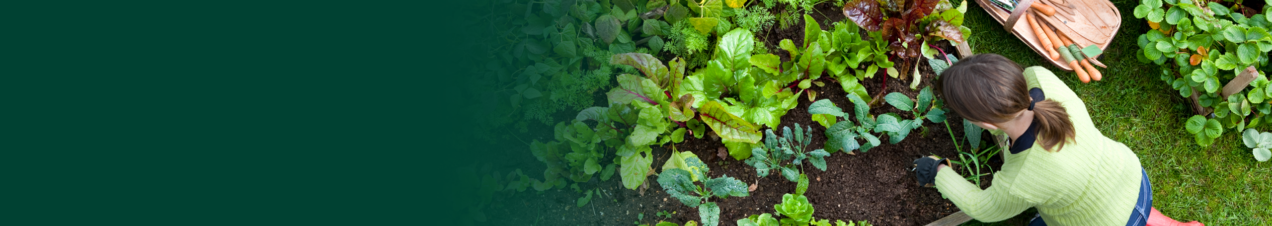 Lawn & Garden Guide Desktop Image