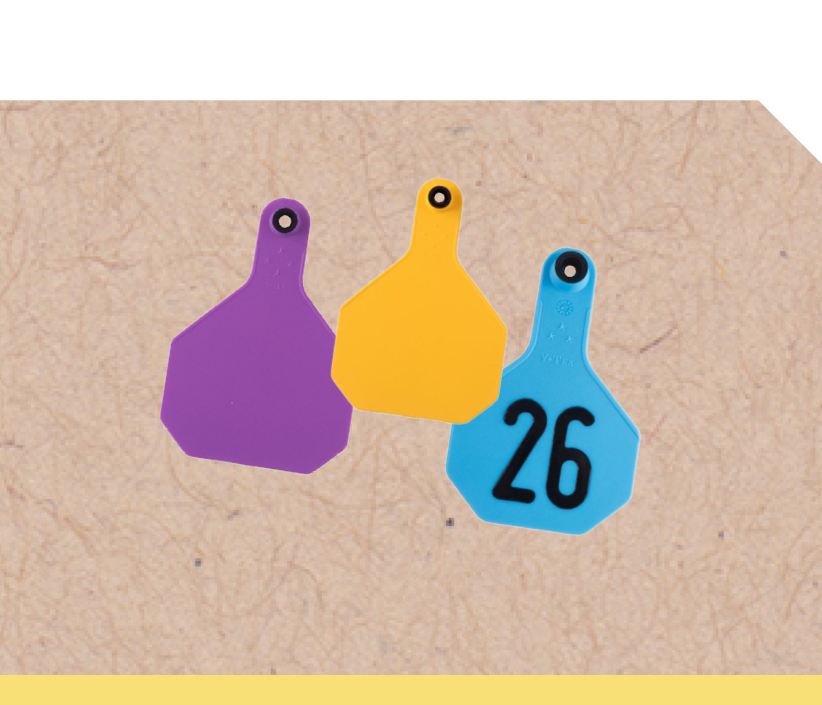 ID Tags