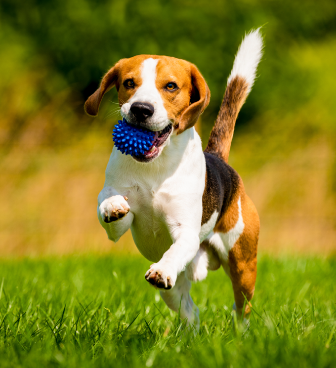 category block image