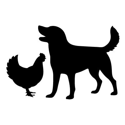 Pet & Animal