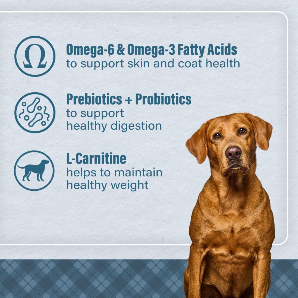 Loyall Life Large Breed Chicken & Brown Rice Recipe Adult Dog Food, 40-Lb